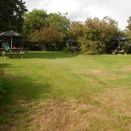 The Royal Oak Inn Dunsford Dış mekan fotoğraf