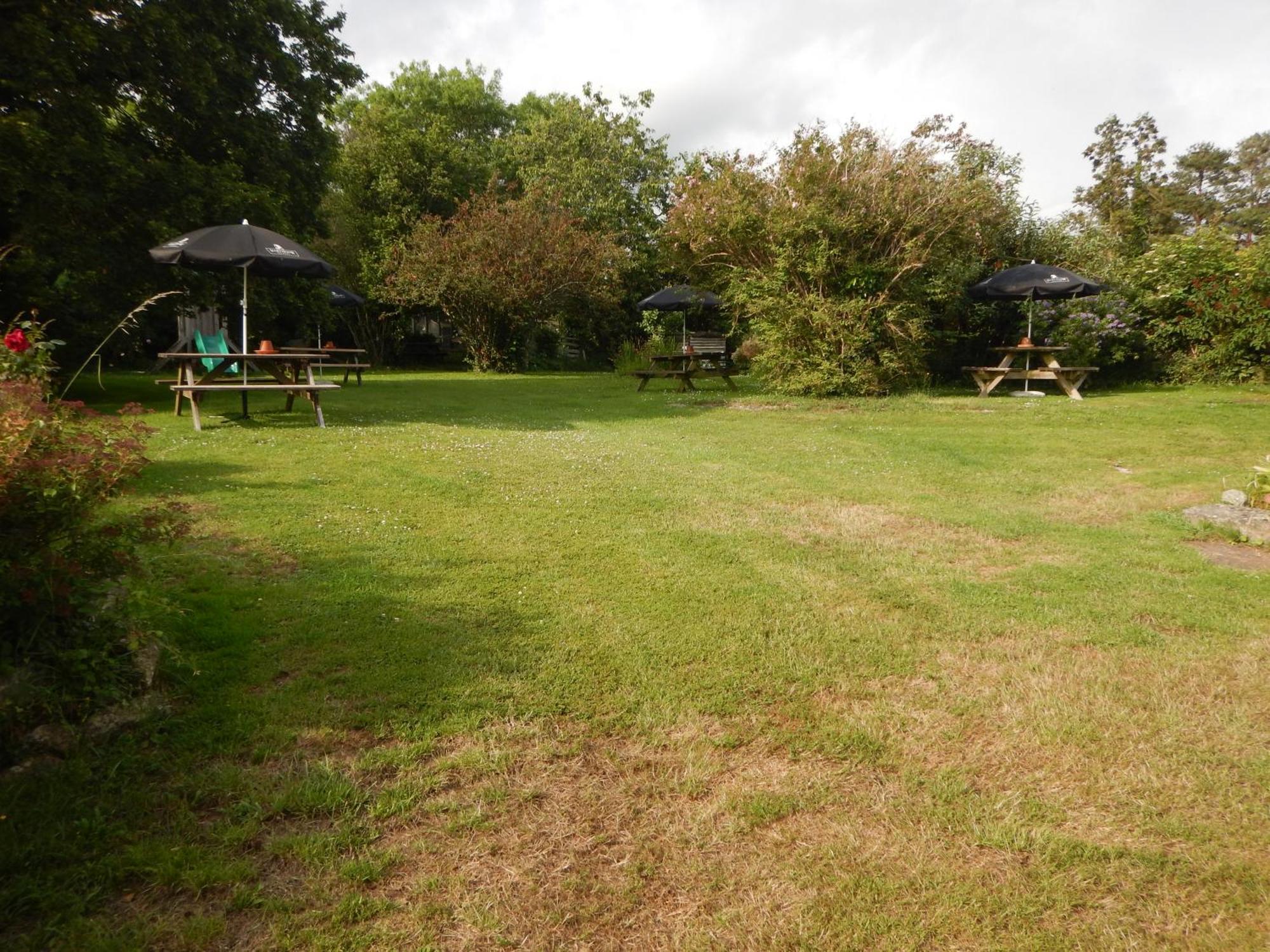 The Royal Oak Inn Dunsford Dış mekan fotoğraf